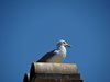 Bornholm (24)