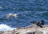 Bornholm (40)