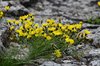 Bornholm (58)