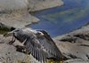 Bornholm (34)