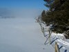 Fefor_2012 (20)