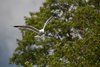 Finland2012 (22)