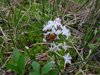 Finland2012 (52)