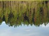 Finland2012 (85)