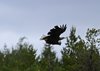 Finland2012 (128)