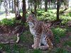 Finland2012 (92)