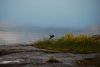 Finland2012 (33)