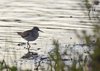 Finland2012 (122)