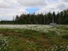 Finland2012 (111)