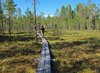 Finland2012 (79)