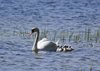 Finland2012 (15)
