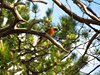 Finland2012 (103)