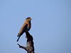 Indien 2012 (148)