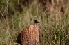 Indien 2012 (142)