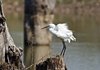 Indien 2012 (182)