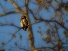 Indien 2012 (140)