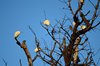 Indien 2012 (136)