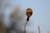 Indien 2012 (139)