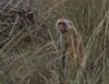 Indien 2012 (35)