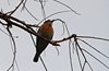 Indien 2012 (19)