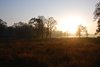 Indien 2012 (135)