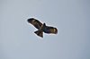 Indien 2012 (226)