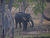 Indien 2012 (26)