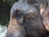Indien 2012 (40)