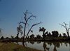 Indien 2012 (185)