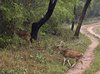 Indien 2012 (76)