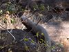 Indien 2012 (187)