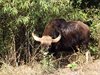 Indien 2012 (104)