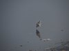 Indien 2012 (229)
