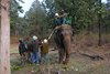 Indien 2012 (66)