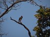 Indien 2012 (103)