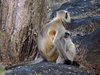 Indien 2012 (15)