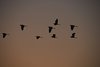 Indien 2012 (162)