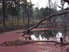 Indien 2012 (21)