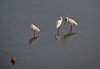 Indien 2012 (225)