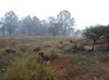 Indien 2012 (82)