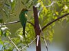 Indien 2012 (186)