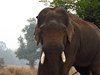 Indien 2012 (58)