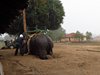 Indien 2012 (38)