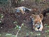 Indien 2012 (65)