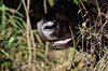 Indien 2012 (105)