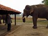 Indien 2012 (57)