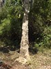 Indien 2012 (155)