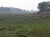 Indien 2012 (55)
