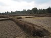 Indien 2012 (29)
