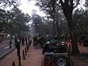 Indien 2012 (80) - Kanha